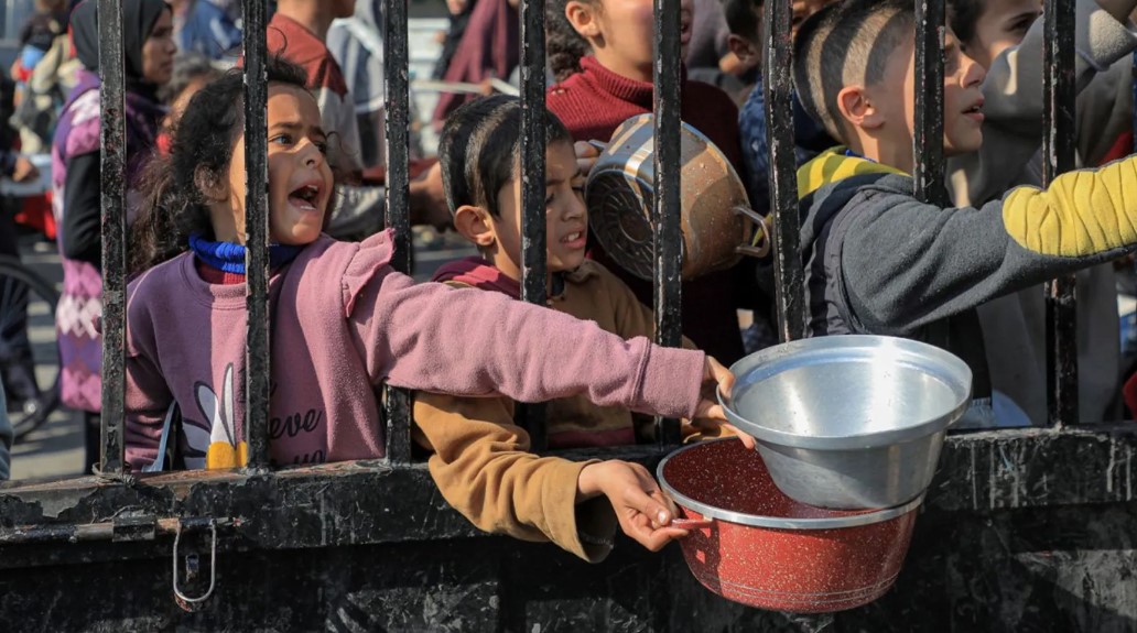 Gıda israfı krizi: Dünyada açlık ve israf paradoksu