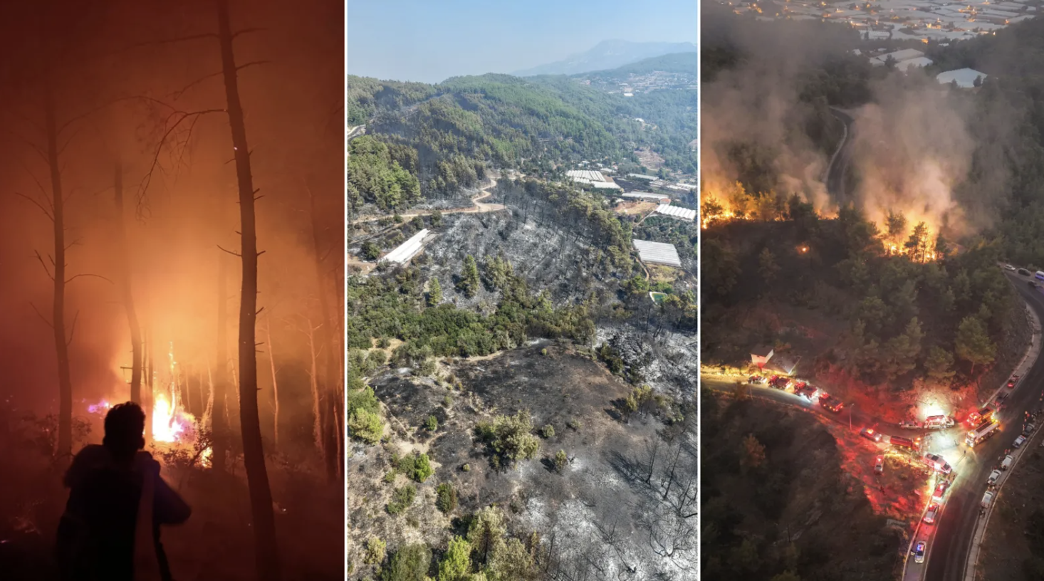 Antalya, Adana ve Mersin’de orman yangınları