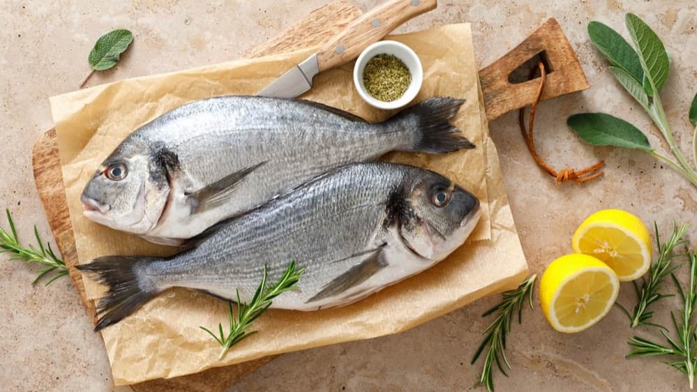 Balık avı sezonu başladı: İlk fiyatlar ve palamut bolluğu