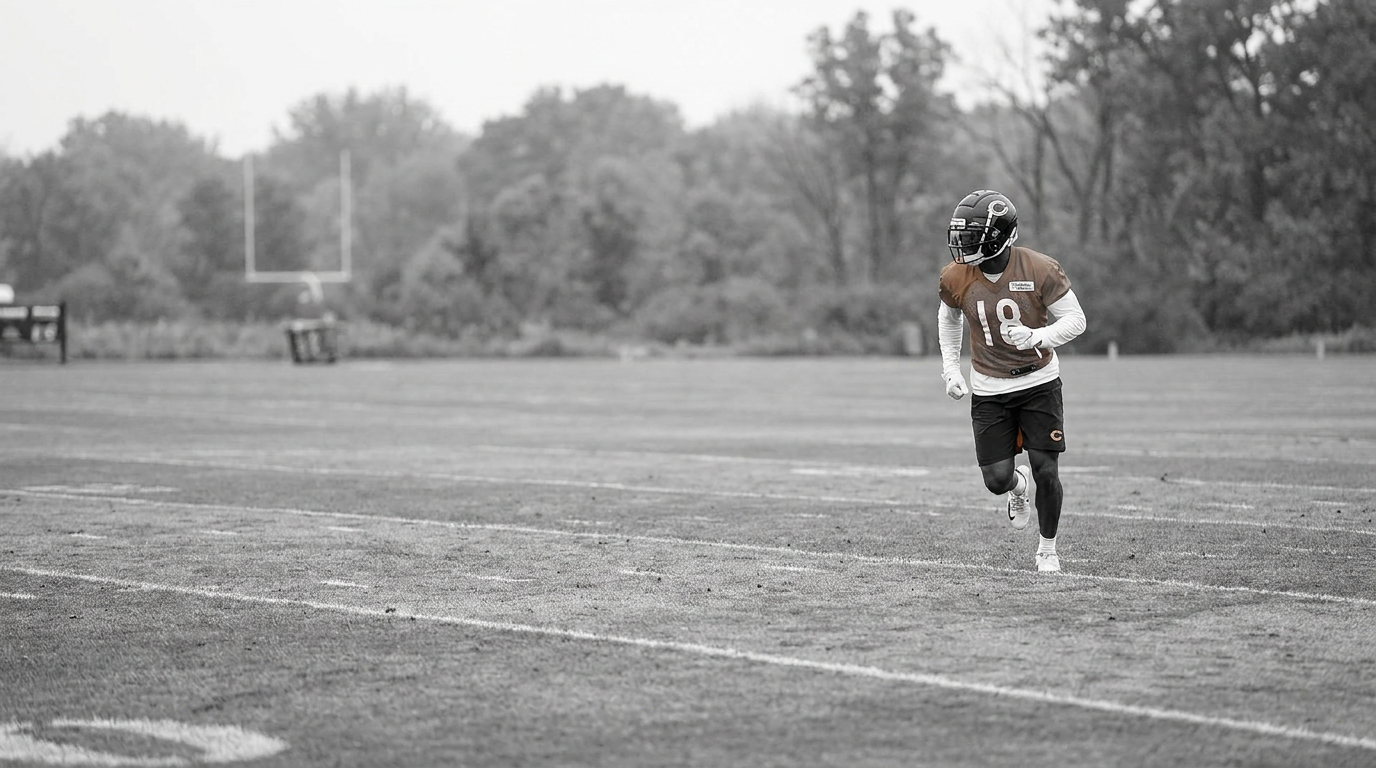 Chicago Bears pass catchers: value, risk and safe fantasy picks