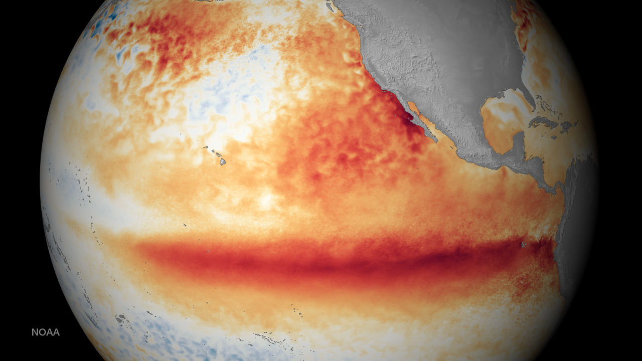 Strong El Niño Pattern Expected