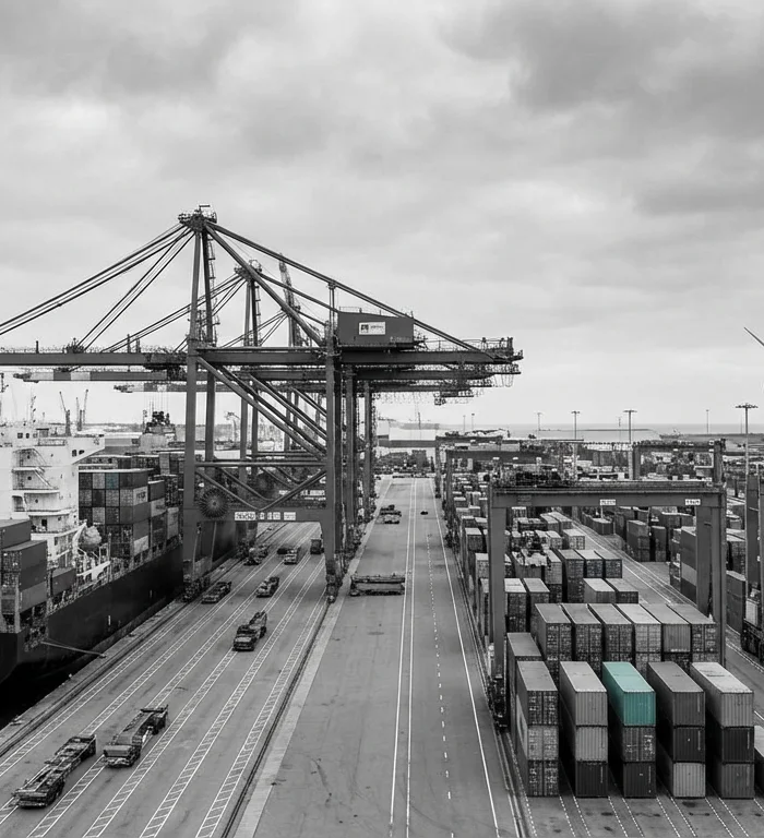 Türkiye-Hollanda Ticaret Hacmi 13,3 Milyar Dolara Ulaştı