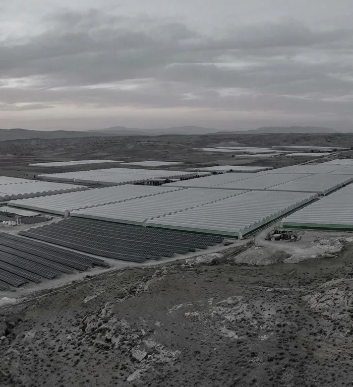 COP31 ev sahipliği: Türkiye 2026 iklim gündemi