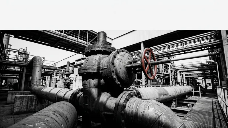 Almanya'nın Rus Enerjisinden Çıkış Maliyeti 50 Milyar Euro'yu Aşıyor