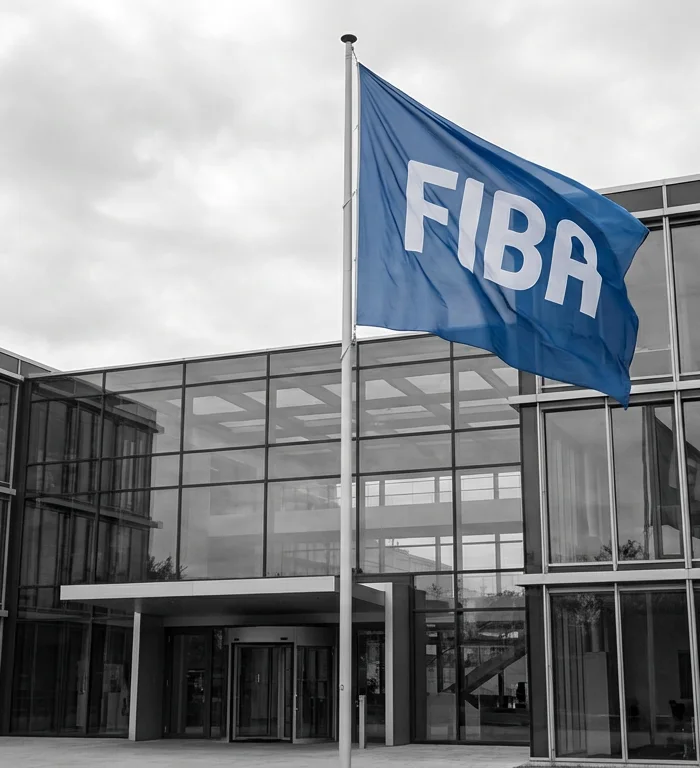 FIBA Dünya Kupası ev sahipleri: 2030 Japonya, 2031 Fransa