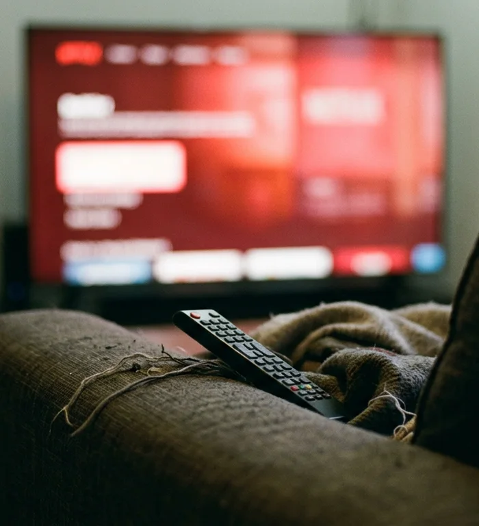 Netflix usage slips as subscriber growth masks slowdown