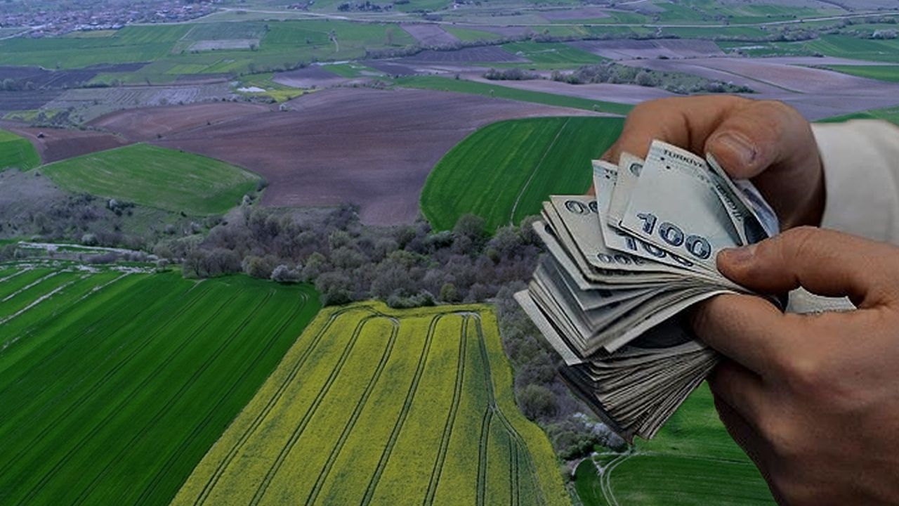 Kamu arazileri satışta: 20 taşınmaz ihaleye açıldı