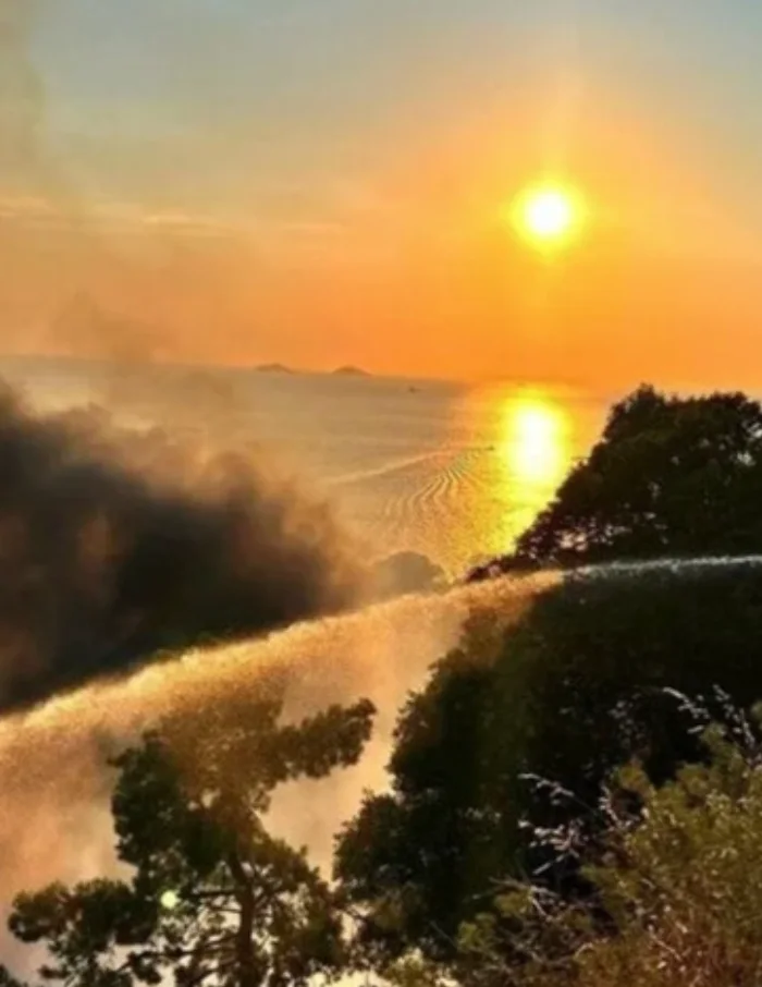 Büyükada yangını plajdan ormana sıçradı, ekipler söndürdü