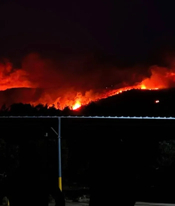 Kabus başladı: Milas'ta orman yangını