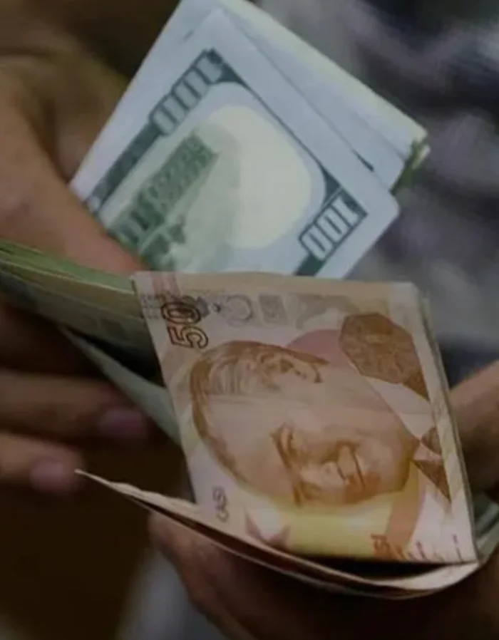 Türk lirası için Goldman’dan daha hızlı kayıp senaryosu