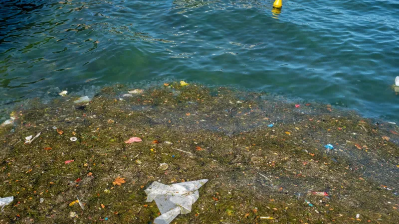 Deniz kirliliği Marmara'da acil arıtma seferberliği istiyor