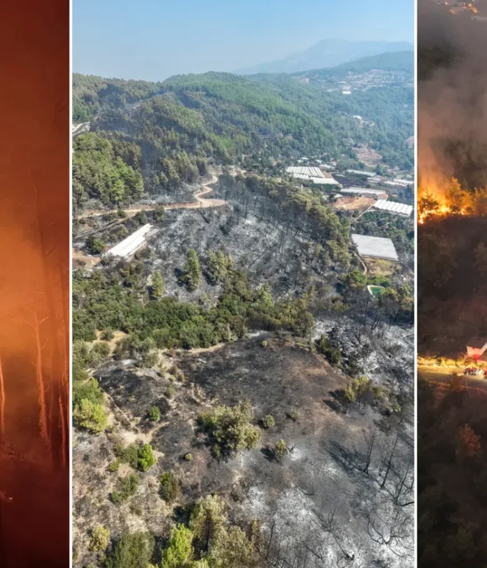 Antalya, Adana ve Mersin’de orman yangınları