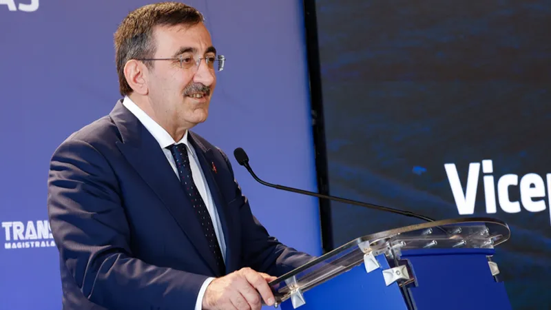 Cumhurbaşkanı Yardımcısı Cevdet Yılmaz: Fon sorunu yapısal değil geçici