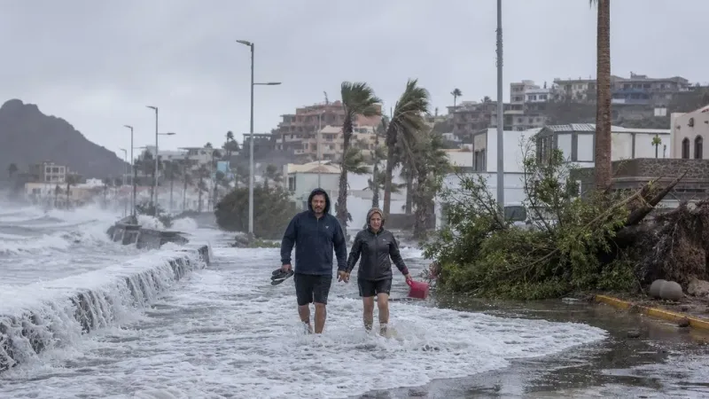 Meksika'yı vuran Polo Kasırgası sokakları sular altında bıraktı