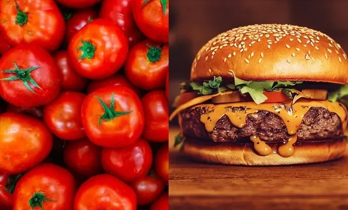 Biyoteknolojide ilginç girişim: Hamburger aromalı domates üretiliyor