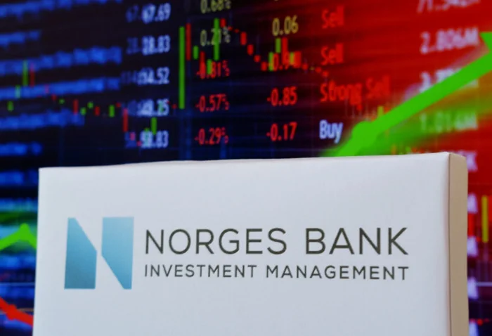 Norveç varlık fonu Türkiye portföyünü incelemeye aldı: biz de zarar gördük