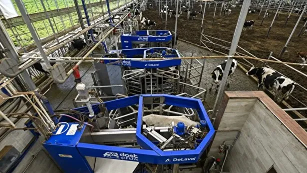 Kırklareli'nde Robotik Hayvancılık Verimliliği Artırıyor
