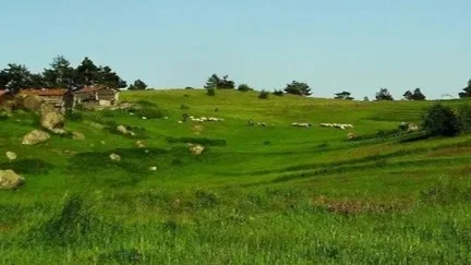 CHP'nin itirazı reddedildi: Bazı belediyeler köy olacak