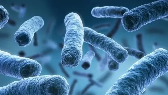 ABD’de Legionella uyarısı: vakalar artıyor