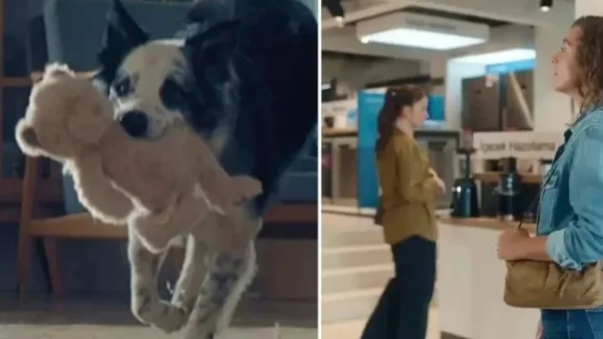 Bosch’un Anneler Günü Reklamı Kriz Yarattı: Bakanlık Devreye Girdi