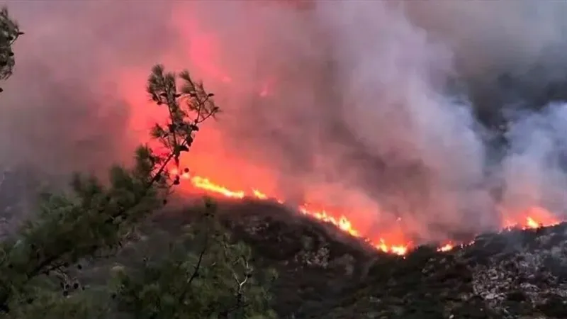 Kaş'ta orman yangınına havadan ve karadan müdahale sürüyor