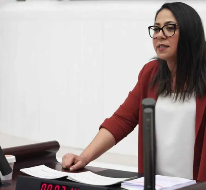 Sera Kadıgil hakkında soruşturma