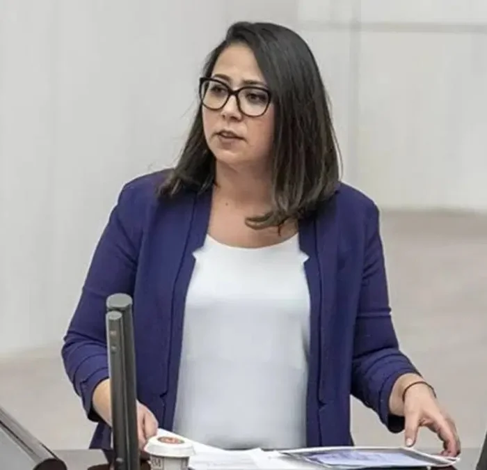 Sera Kadıgil hakkında "Cumhurbaşkanına hakaret" ve "tehdit" soruşturması