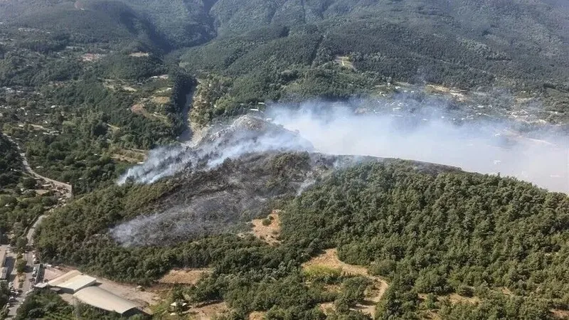 Bursa'da üç mahallede orman yangını