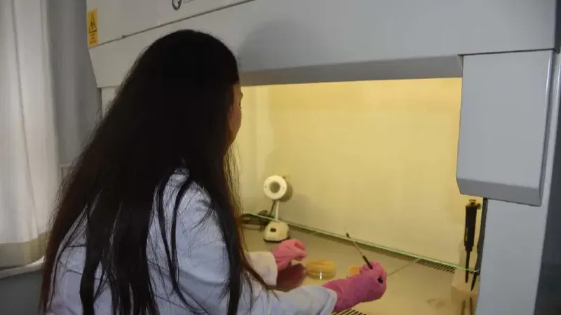 İzmir kekiğinin kontrolsüz kullanımı antibiyotik direncini tetikleyebilir
