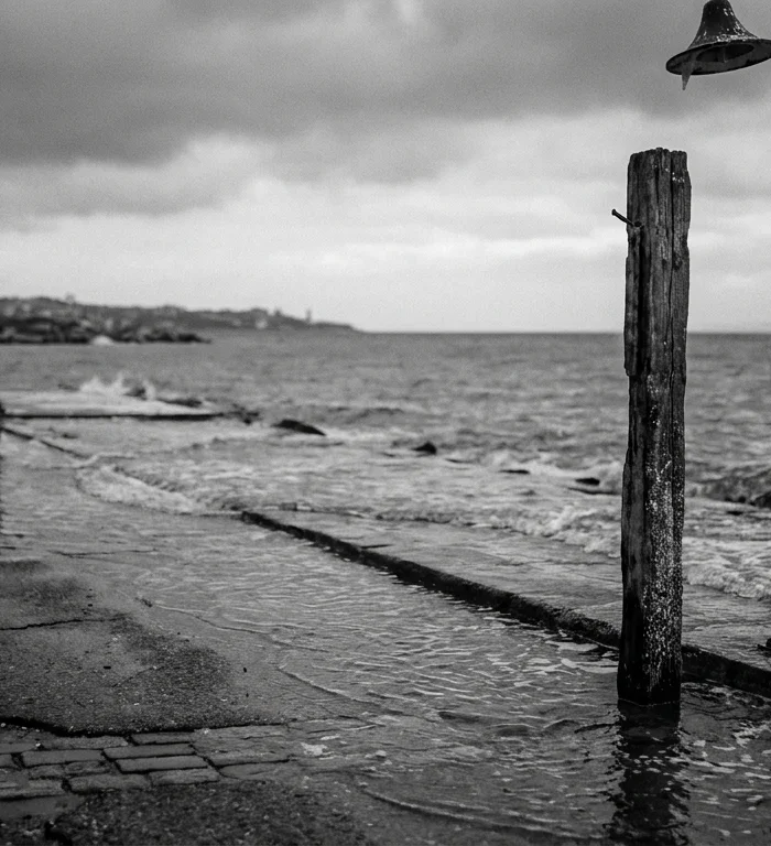Marmara Denizi'nde 2,5 Derecelik Sıcaklık Artışı Gıda ve Kıyı Güvenliğini Tehdit Ediyor