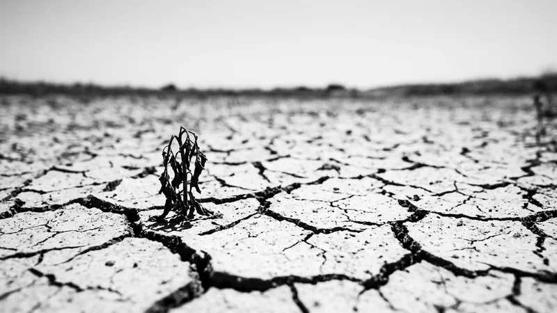 France Shatters All-Time Heat Records in Hottest Summer on Record