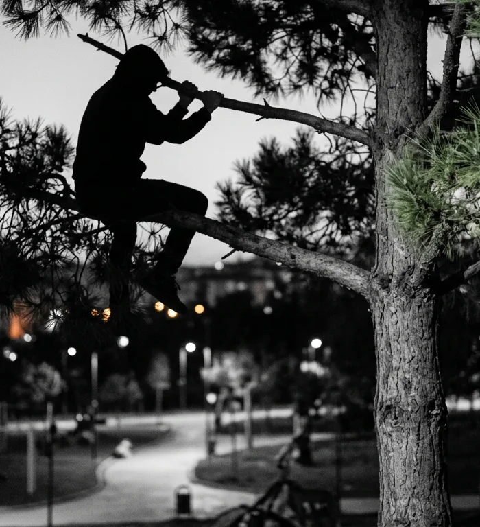 Antalya'da çam ağacı olayı: Borç kriziyle müdahale