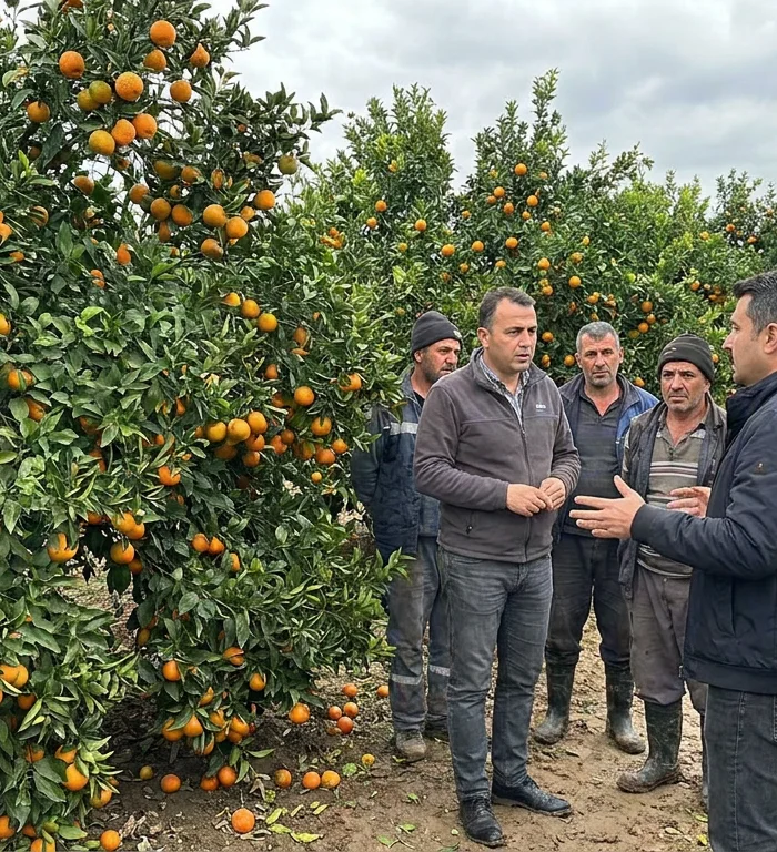 Yüreğir çiftçisi 3 yıllık kredi limitiyle sıkışıyor