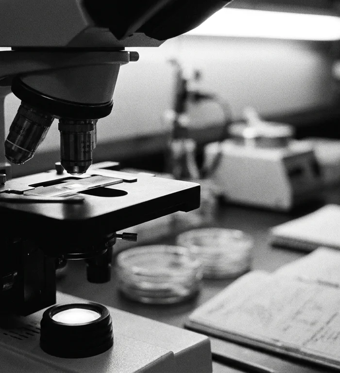 Rojin Kabaiş soruşturması diatom testiyle ilerliyor