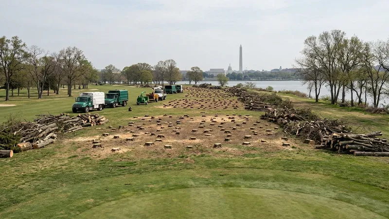Judge halts East Potomac tree cutting after 400 removed