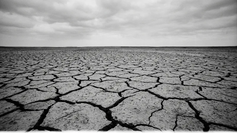 İklim raporlaması sıkılaşıyor: Türkiye için çift baskı