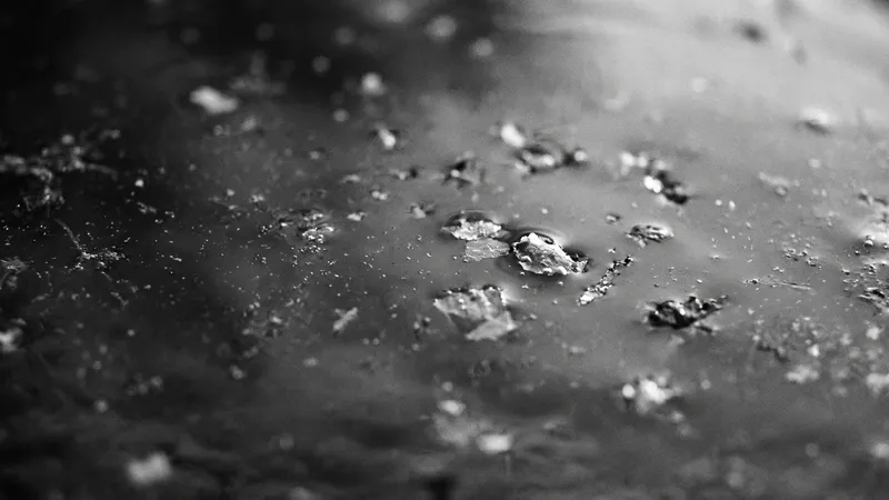 Plastik Kirliliği Halk Sağlığı ve Gıda Güvenliği İçin Bir Beka Meselesi