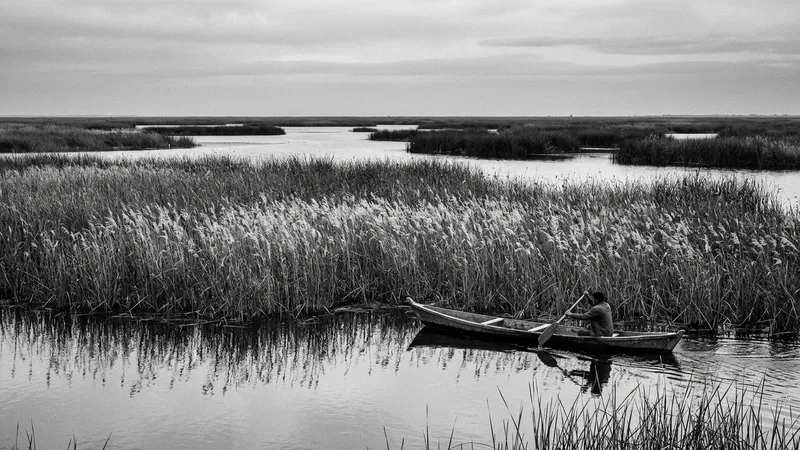 Iraq's Ancient Marshes Bloom Again After Drought