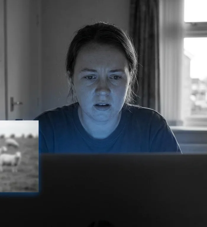 Tüketiciler Birliği’nden Kurbanlık Alışverişinde Online Dolandırıcılık Uyarısı