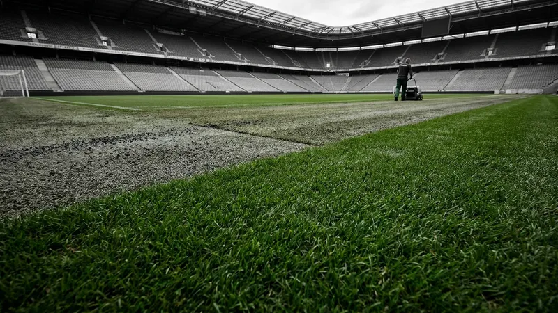 NFLPA urges league-wide standards for high-quality grass fields