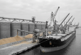 Grain Imports Surge in Early 2026, Led by Russia and Ukraine