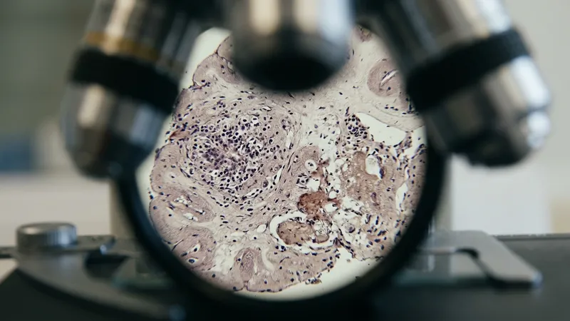 New Research Identifies Key Driver of Neuroinflammation in MS, Aging
