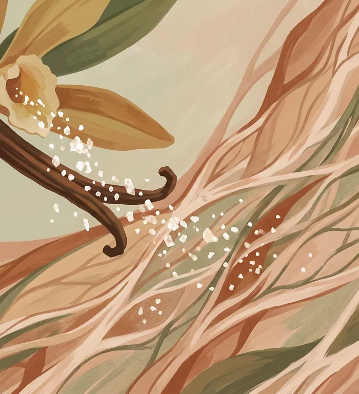 Vanillin shows wound-care potential in early research