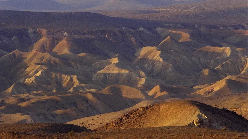 Iran’s IRGC says spokesman Ali Mohammad Naini killed in US-Israeli attack
